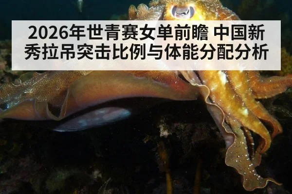 2026年世青赛女单前瞻 中国新秀拉吊突击比例与体能分配分析